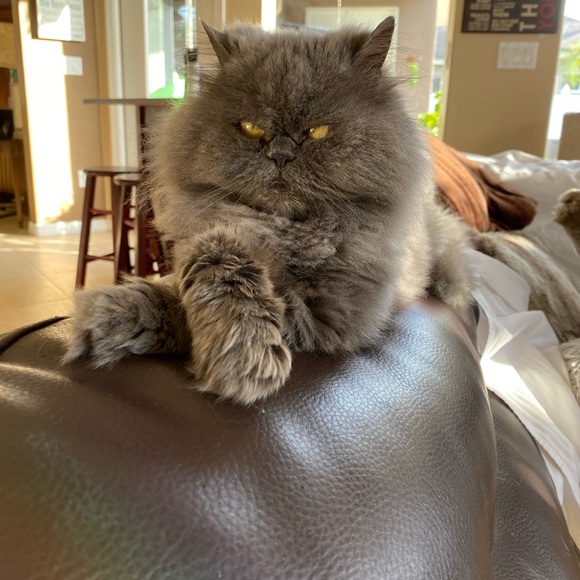 Meet Wendy, a Posh Ambassador! - Picture 16 of 16